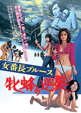 女番长布鲁斯:雌蜂的逆袭