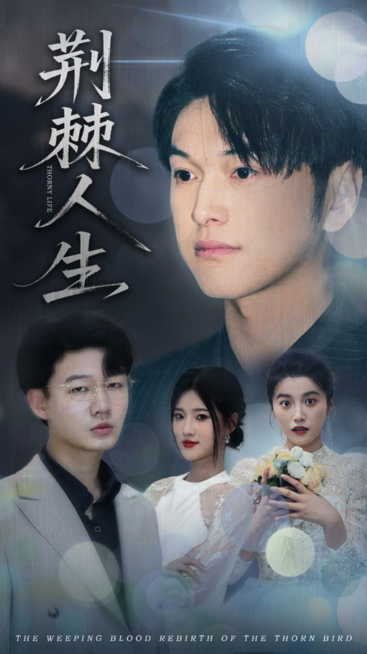 荆棘人生