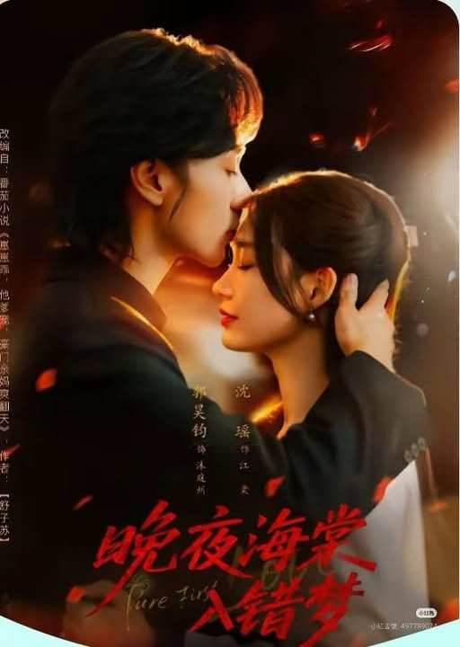 晚夜海棠入错梦