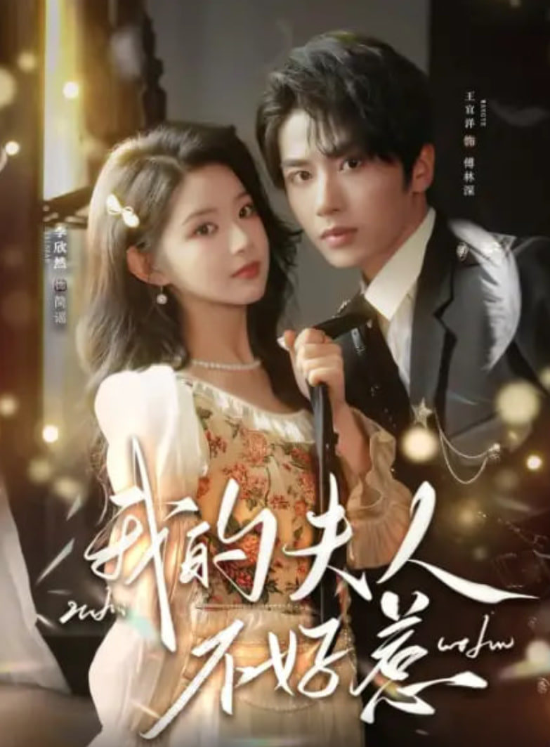 你好我的旅长夫人 (我的夫人不好惹)