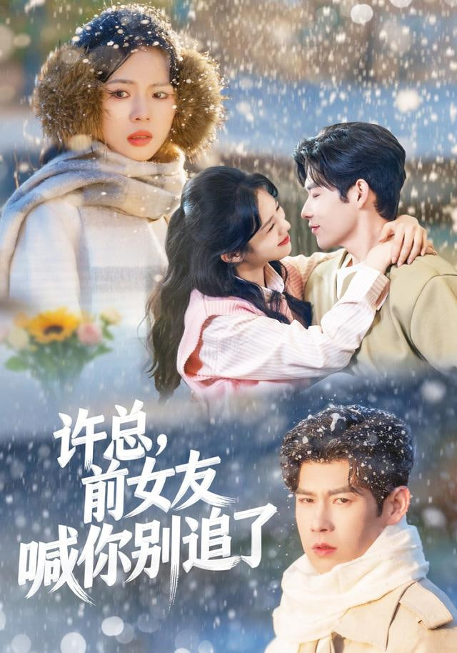 许总，前女友喊你别追了