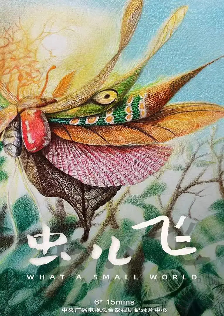 虫儿飞