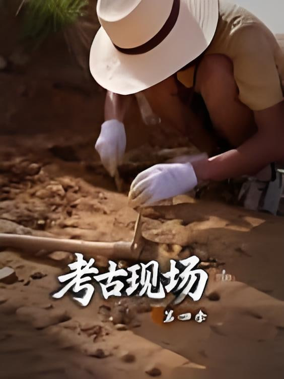 X档案·考古现场第四季