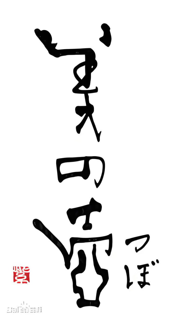 美之壶 2018