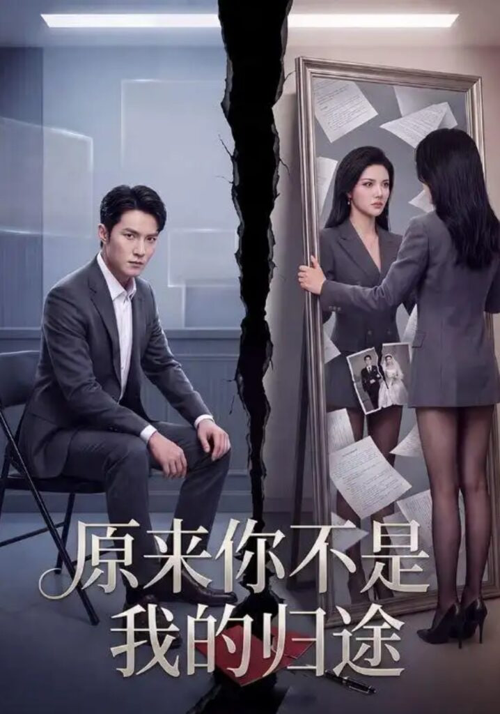 原来你不是我的归途