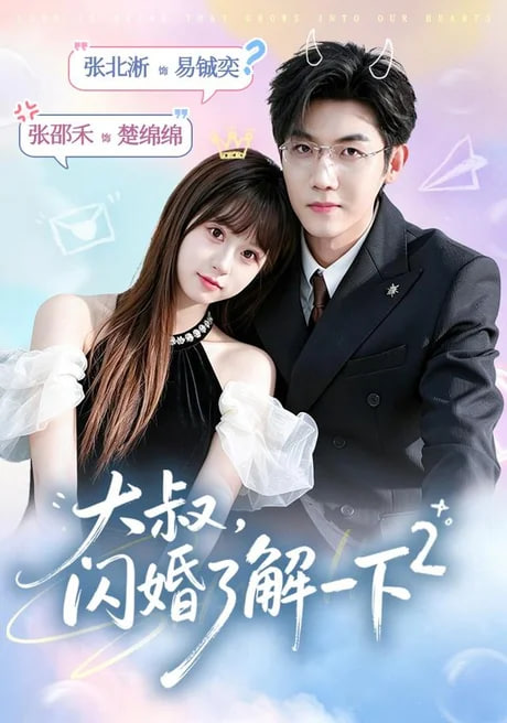 大叔，闪婚了解一下 2